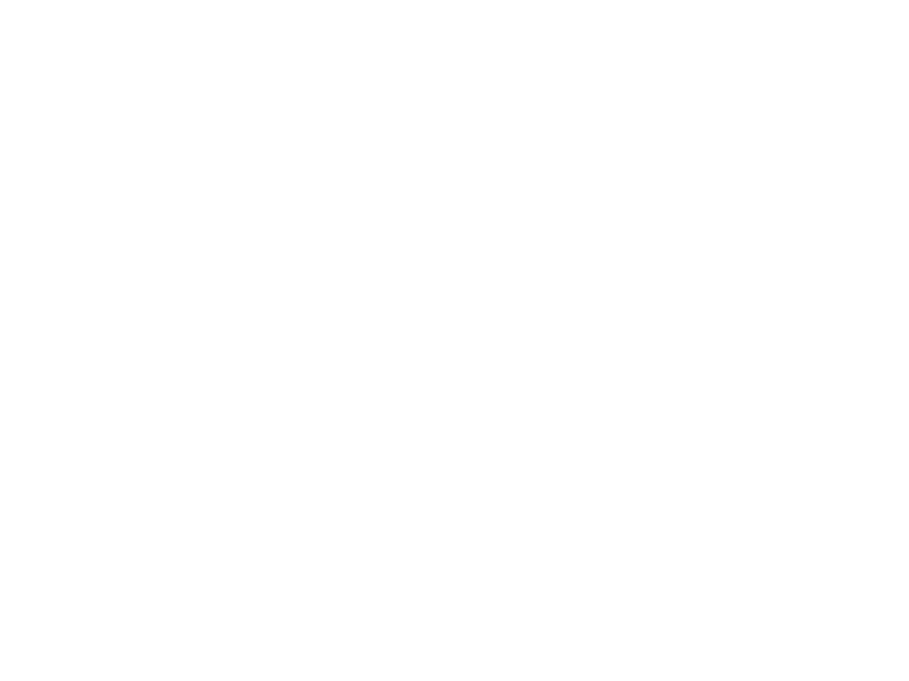 Dr. Hesham Gharieb